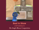 Best in Show Amateur Peggy Arnette